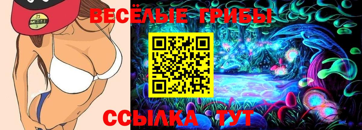 купить наркотик  Галлюциногенные грибы мухоморы  Галлюциногенные грибы мицелий  Вход с VPN  Клин 